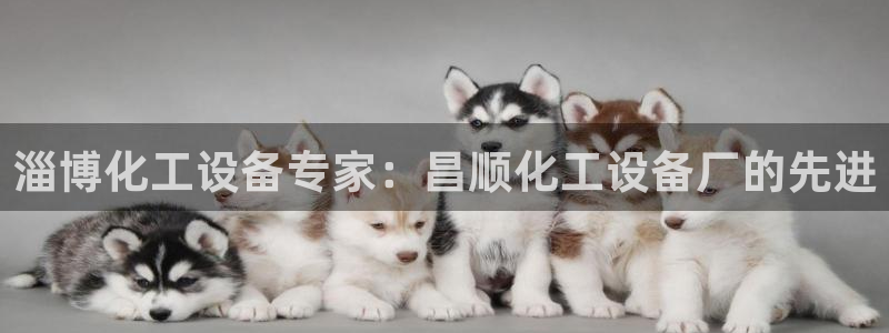 新宝gg娱乐创造奇迹登录官网