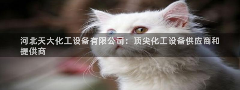 新宝gg奇迹登录