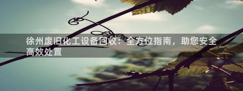 新宝gg创造奇迹登录注册优势