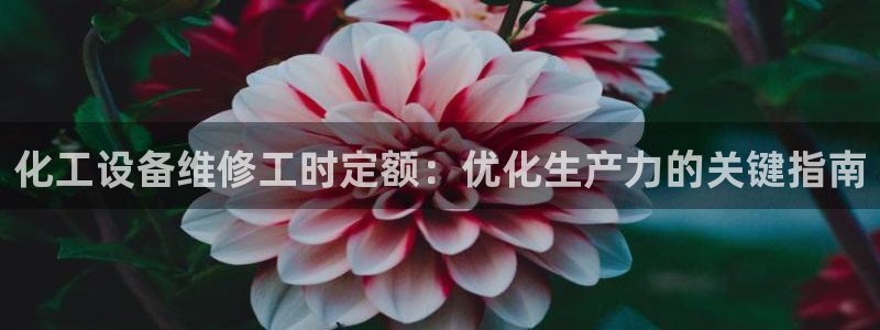 新宝gg平台登录手机版