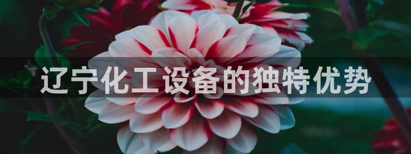新宝gg怎么登录不了了