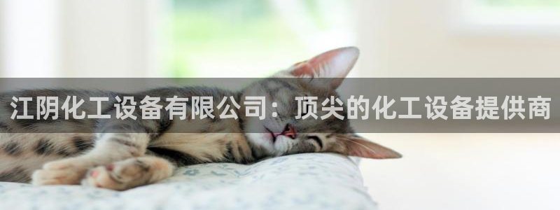 新宝gg官网客户端下载