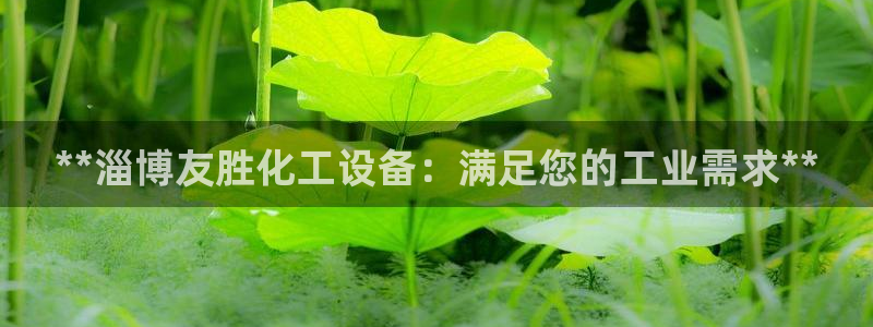 新宝gg创造奇迹登录首页