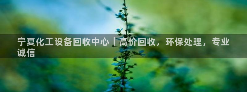 新宝GG平台德711怎么联系客服