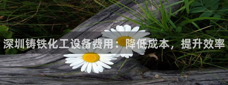 新宝GG平台负责人