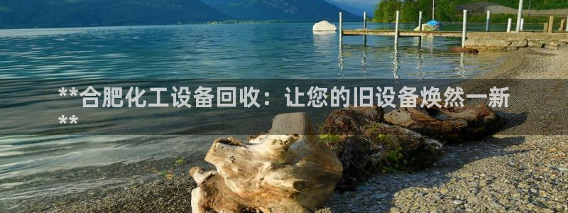 新宝gg提现不到账了?