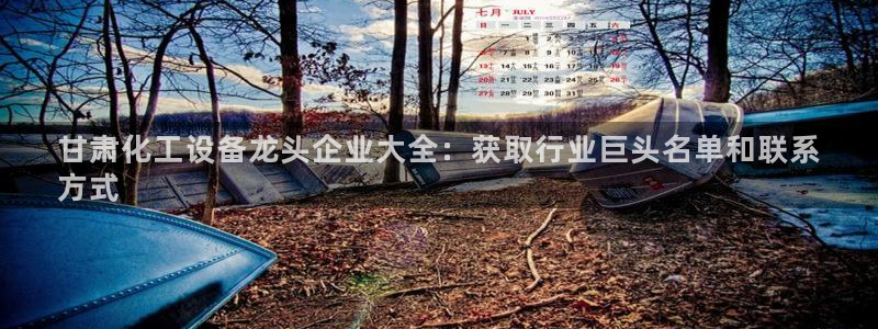 新宝gg官网客户端下载