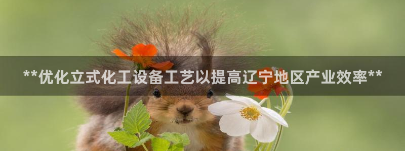 新宝gg游戏首页