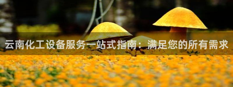 新宝一gg测速