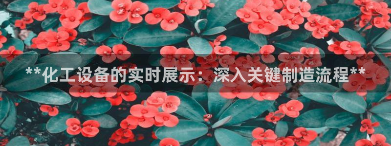 新宝gg怎么退钱