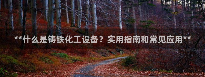 新宝gg—创造奇迹官网登录