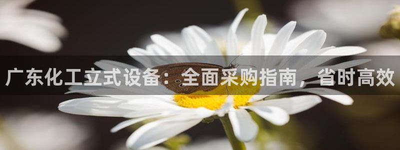 新宝gg创造奇迹在线登录