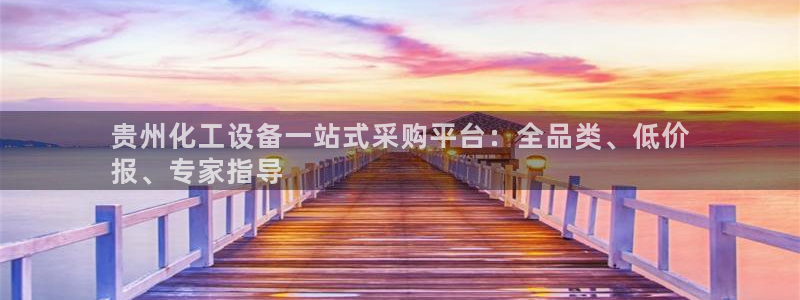新宝gg最新更新内容与历史回顾