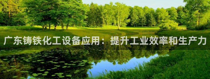 新宝gg为什么登不上去了