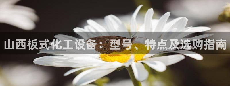 新宝gg真的能赚钱么