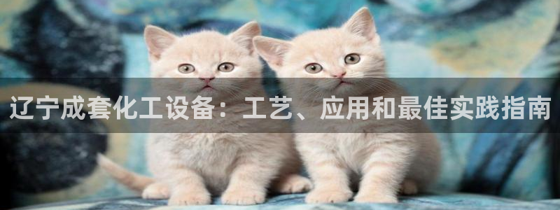新宝gg官网登录代理