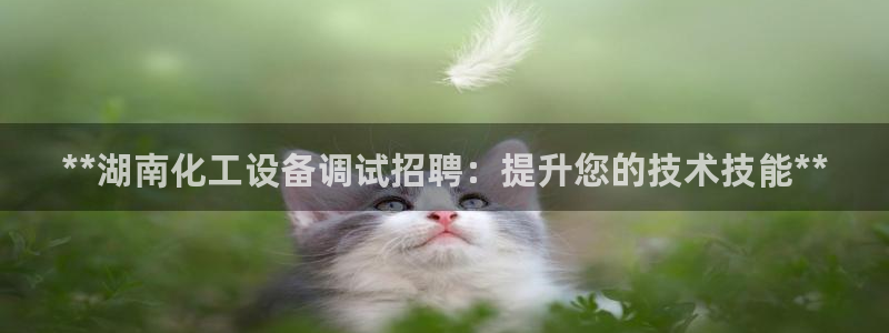 新宝gg黑钱怎么办