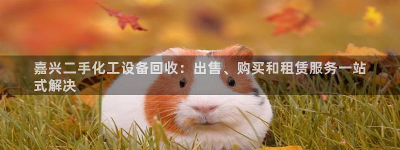 新宝gg__创造奇迹登录
