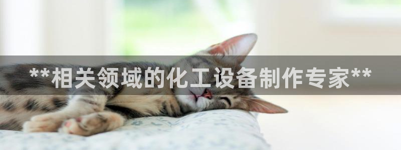 新宝gg招商主管