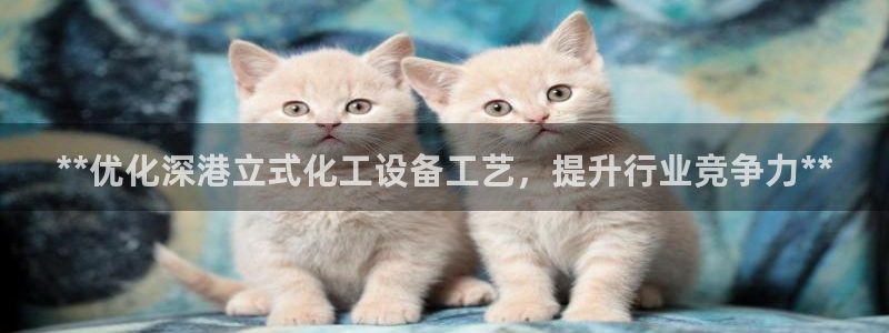 新宝gg创奇迹登录注册