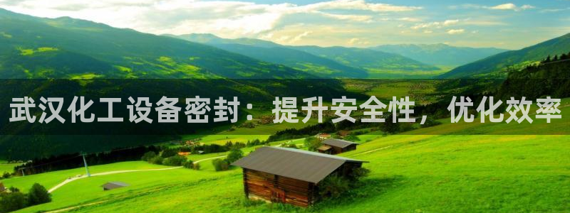新宝gg提现不到账了?