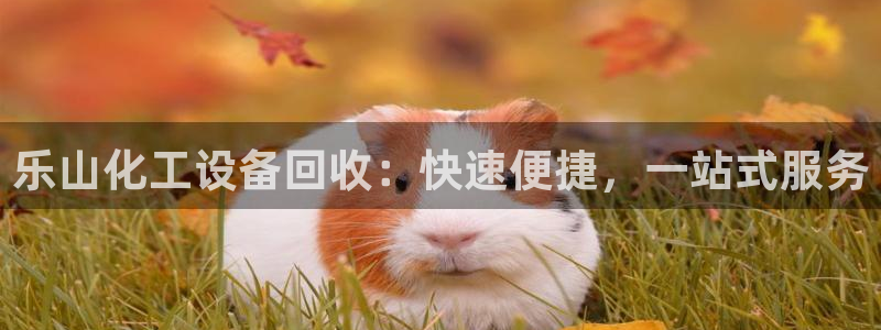 新宝gg一创造奇迹