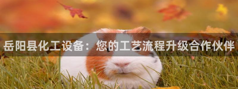 新宝gg创造奇迹登录最简单三个步骤