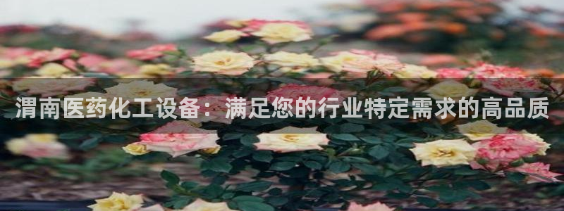新宝gg 创造奇迹