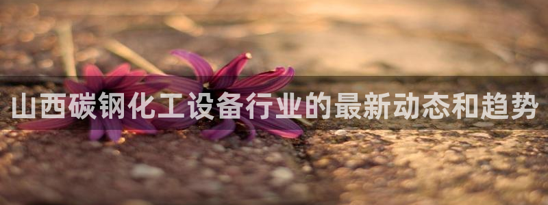 新宝gg手机版登录官网