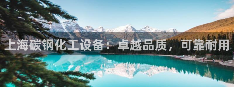 新宝gg账号首页
