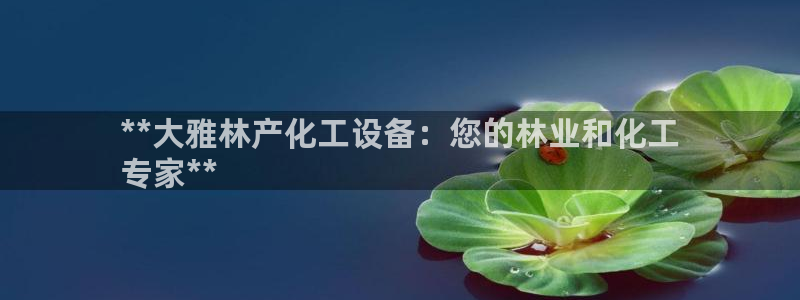 新宝gg怎么退钱