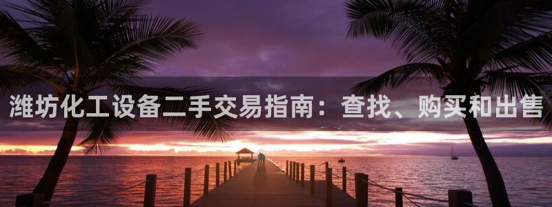 新宝gg被抓