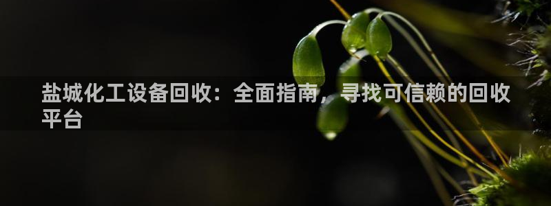 新宝gg怎么登录不了