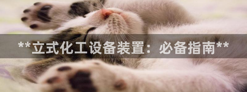 新宝gg创造奇迹登录入口网址