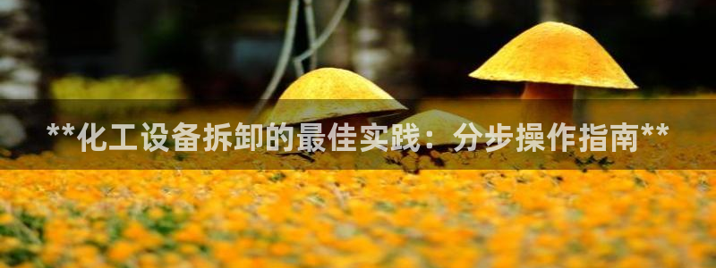 新宝gg怎么登录不了了