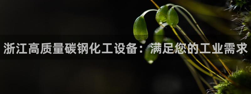 新宝GG创奇迹
