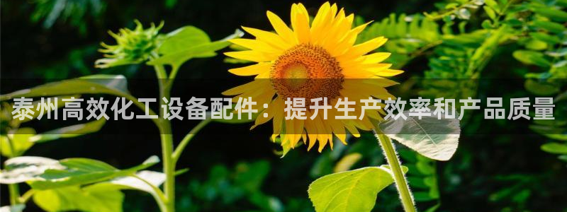 新宝gg创造奇迹代理