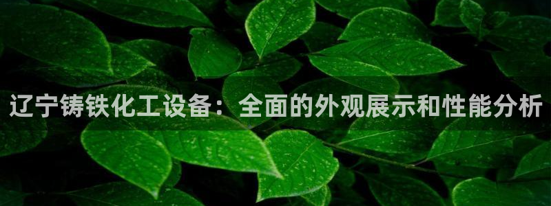 新宝GG平台德711.112如何处理