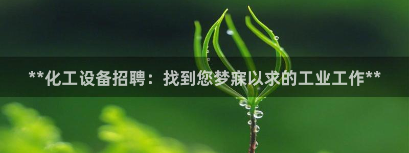 新宝gg一创造奇迹代理测速