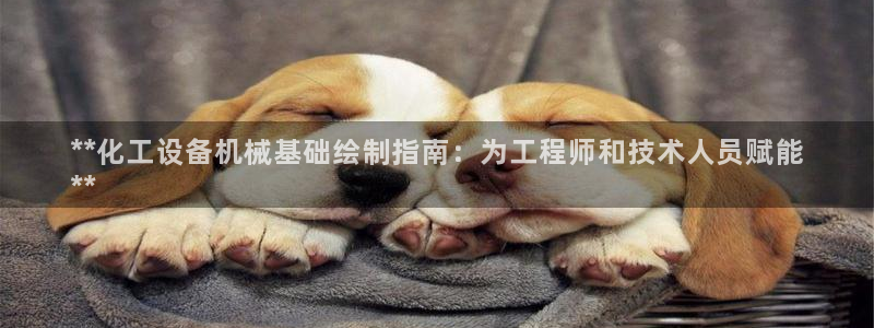 新宝gg平台注册登录指南