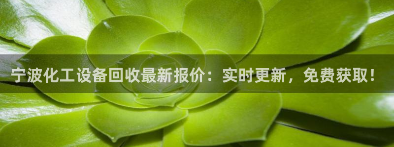 新宝gg登录不了是什么原因