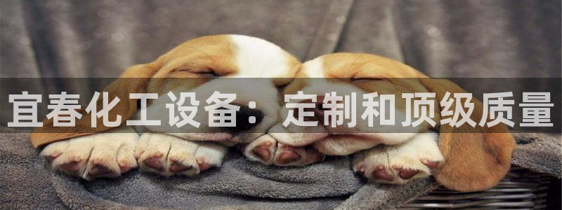 新宝gg娱乐创造奇迹登录官网