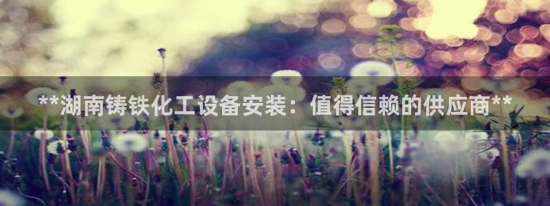 新宝gg平台注册网址