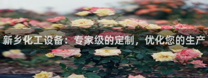 新宝gg黑钱怎么办