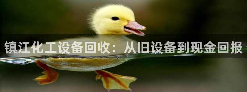 新宝gg游戏首页