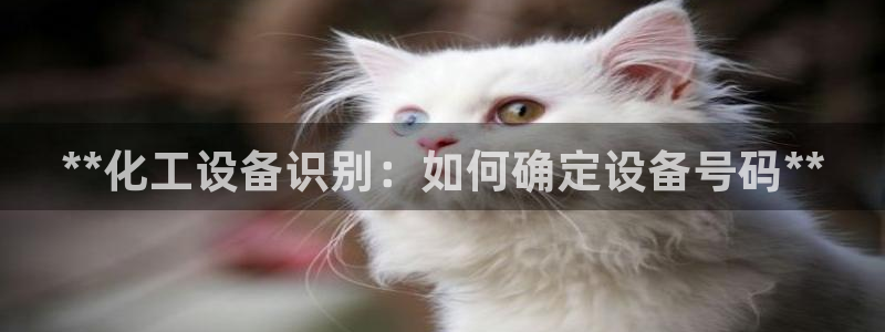 新宝gg登录不上去了