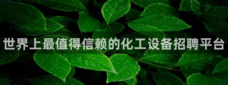 新宝gg奇迹登录