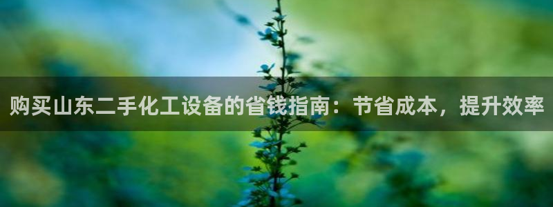 新宝gg平台注册?