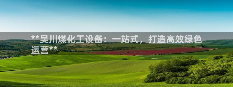 新宝gg案件：**吴川煤化工设备：一站式，打造高效