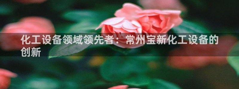 新宝gg注册平台